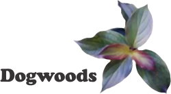 Dogwood Gardening